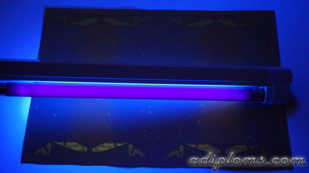 Диплом магистра 2004-2009 Фото Диплом магистра 2004-2009 Фото